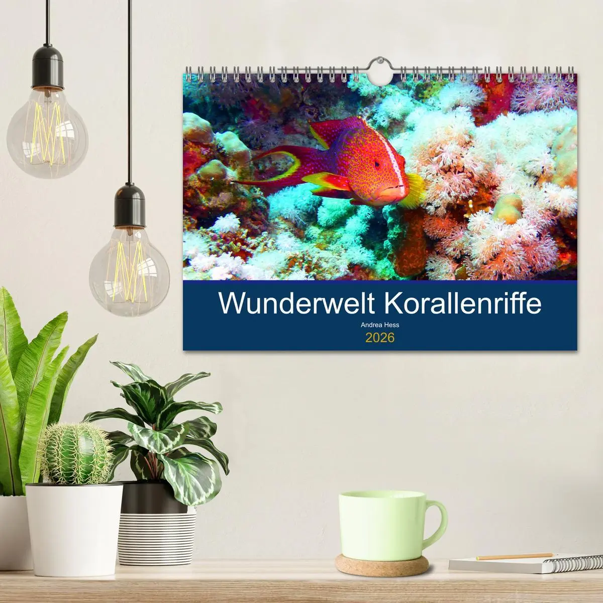 Bild: 9783457818237 | Wunderwelt Korallenriffe (Wandkalender 2026 DIN A4 quer), CALVENDO...