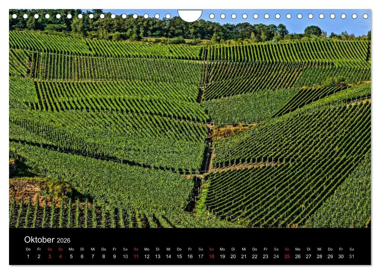 Bild: 9783516078237 | Schöne Mosel (Wandkalender 2026 DIN A4 quer), CALVENDO Monatskalender