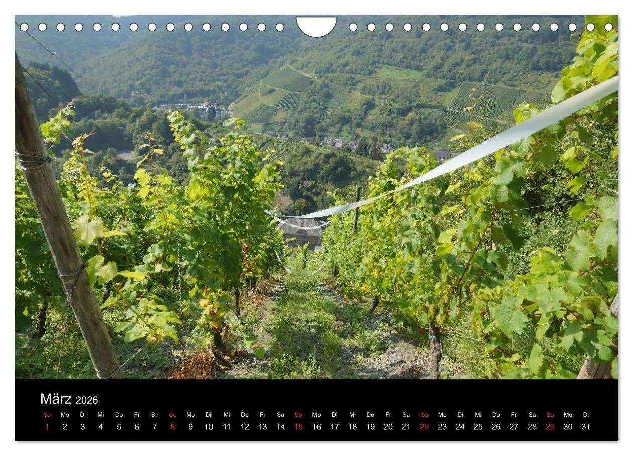 Bild: 9783516078237 | Schöne Mosel (Wandkalender 2026 DIN A4 quer), CALVENDO Monatskalender