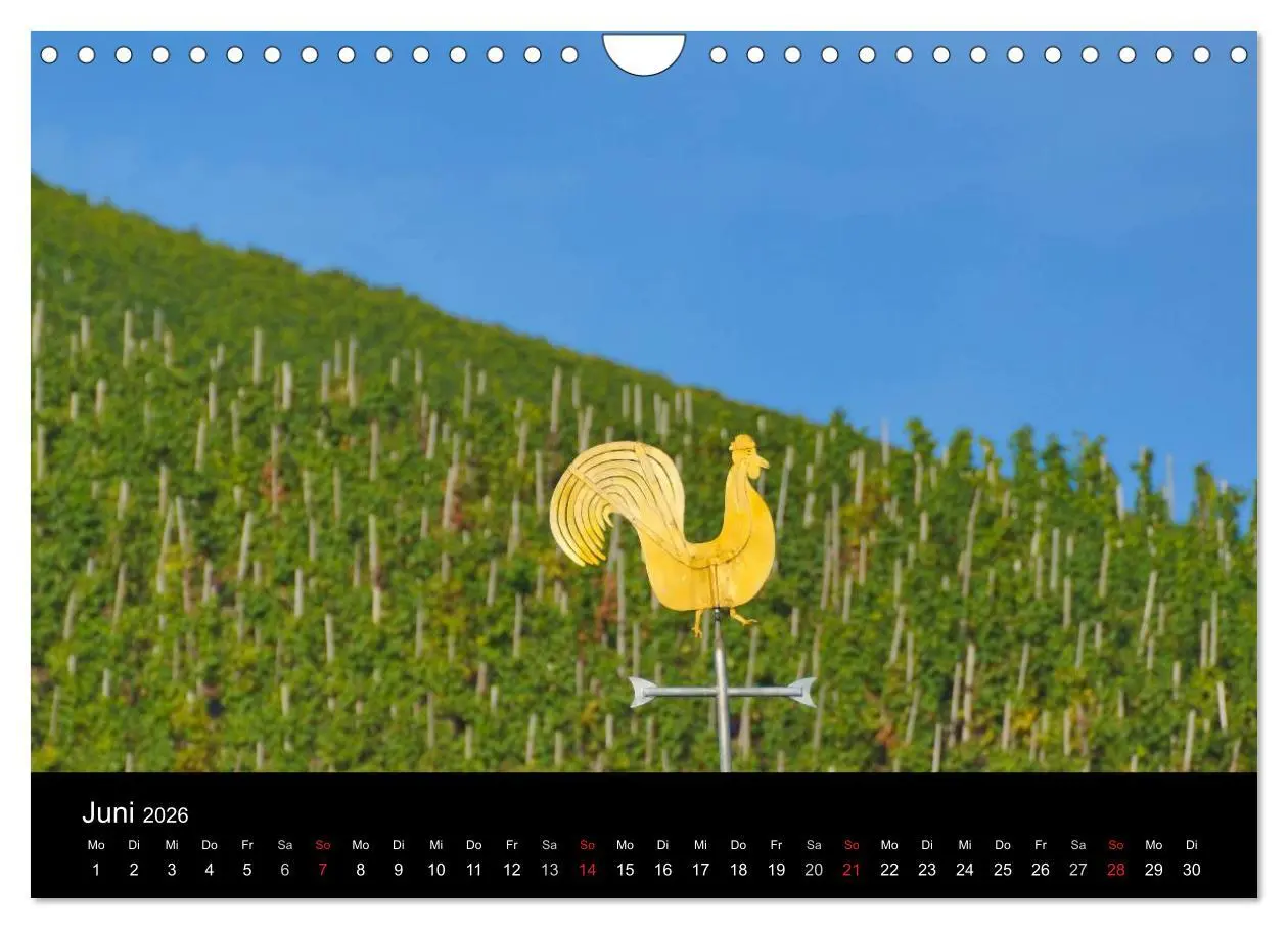 Bild: 9783516078237 | Schöne Mosel (Wandkalender 2026 DIN A4 quer), CALVENDO Monatskalender