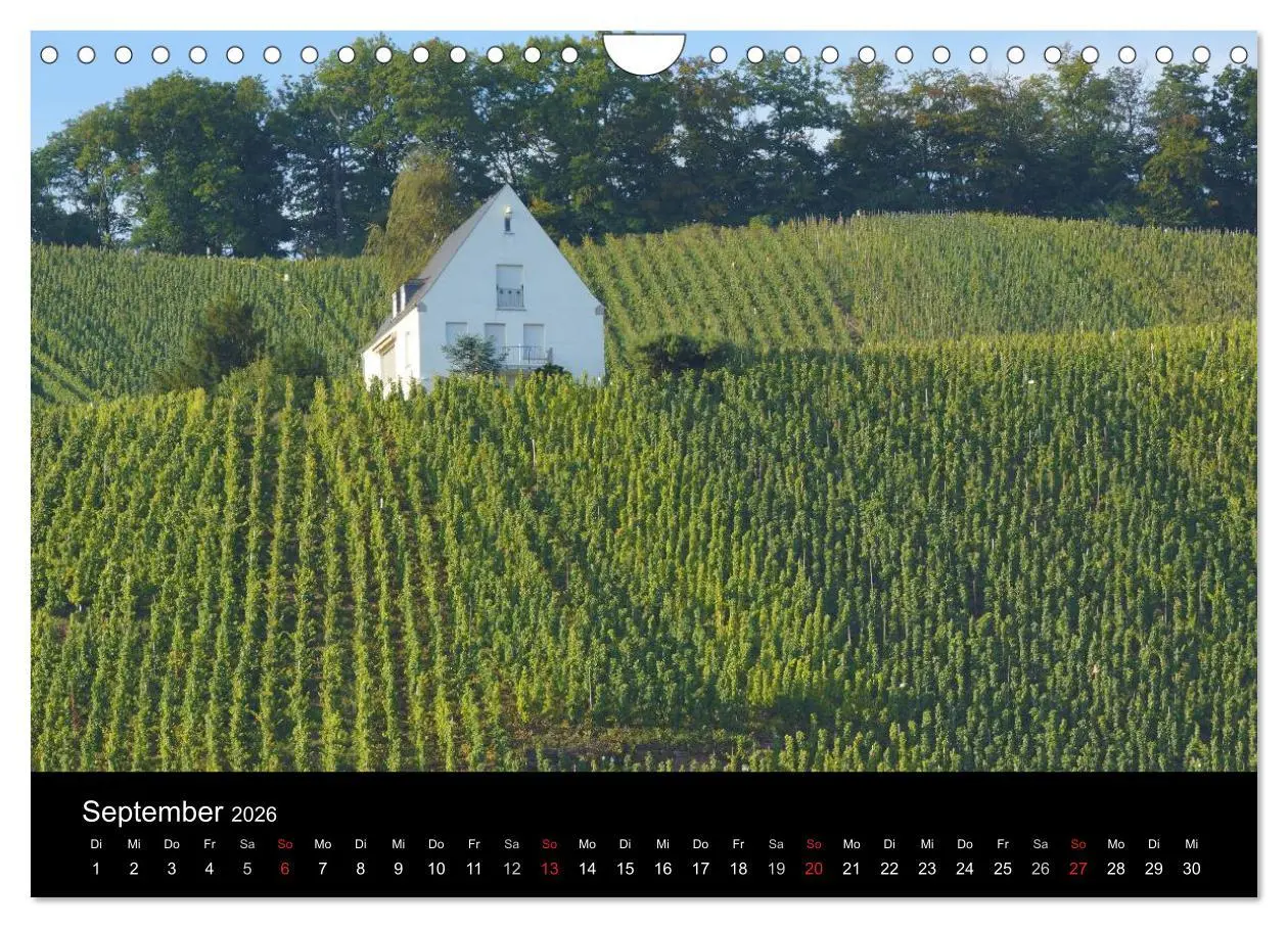 Bild: 9783516078237 | Schöne Mosel (Wandkalender 2026 DIN A4 quer), CALVENDO Monatskalender