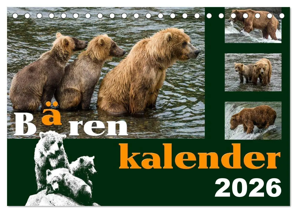 Cover: 9783516218237 | Bärenkalender (Tischkalender 2026 DIN A5 quer), CALVENDO...
