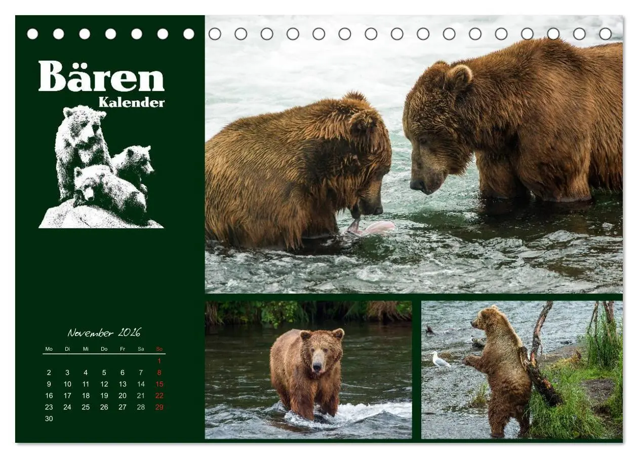 Bild: 9783516218237 | Bärenkalender (Tischkalender 2026 DIN A5 quer), CALVENDO...