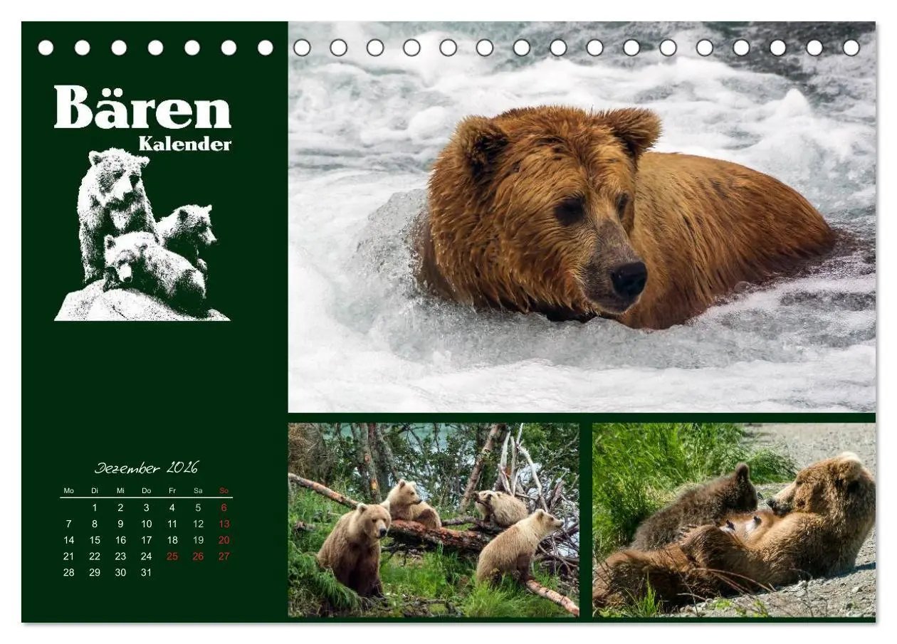 Bild: 9783516218237 | Bärenkalender (Tischkalender 2026 DIN A5 quer), CALVENDO...