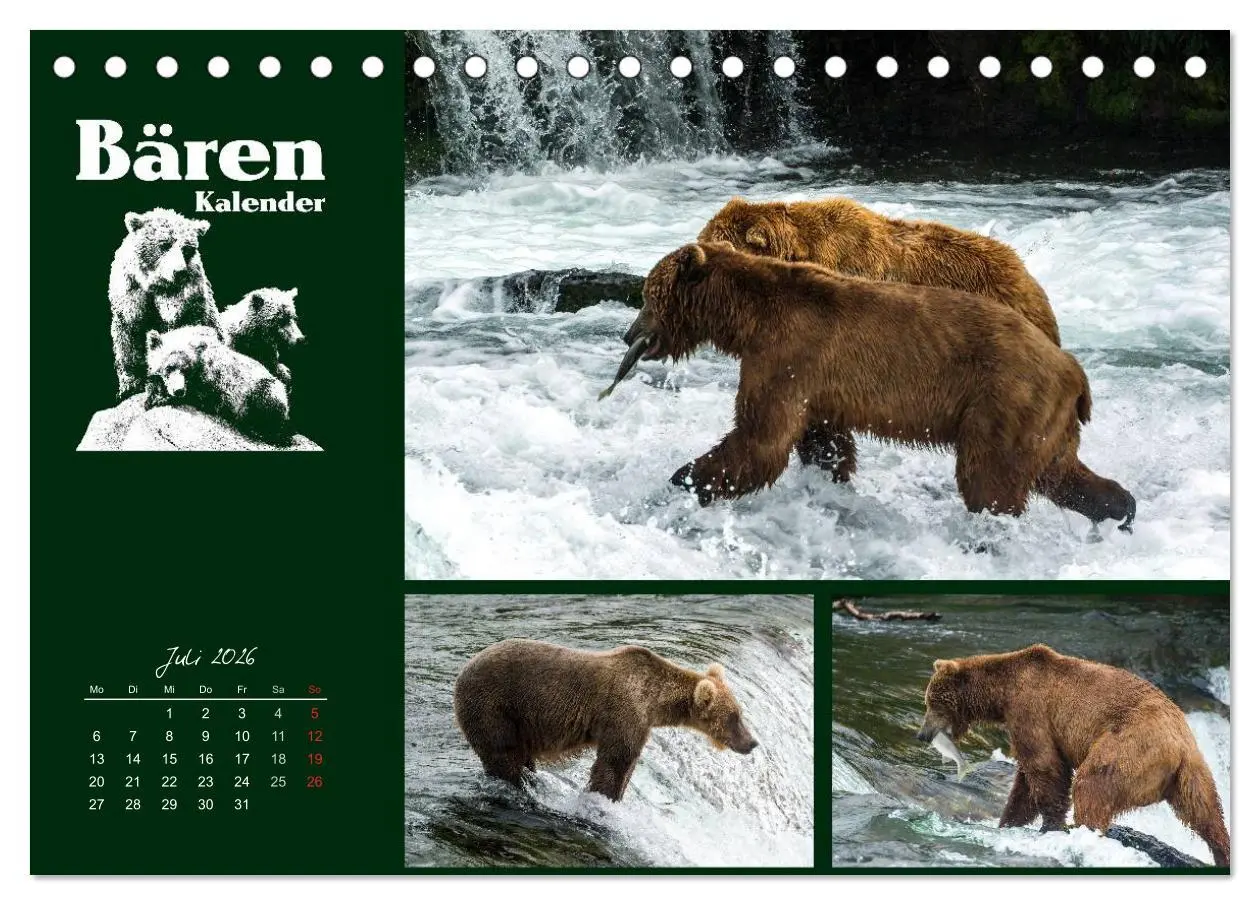 Bild: 9783516218237 | Bärenkalender (Tischkalender 2026 DIN A5 quer), CALVENDO...