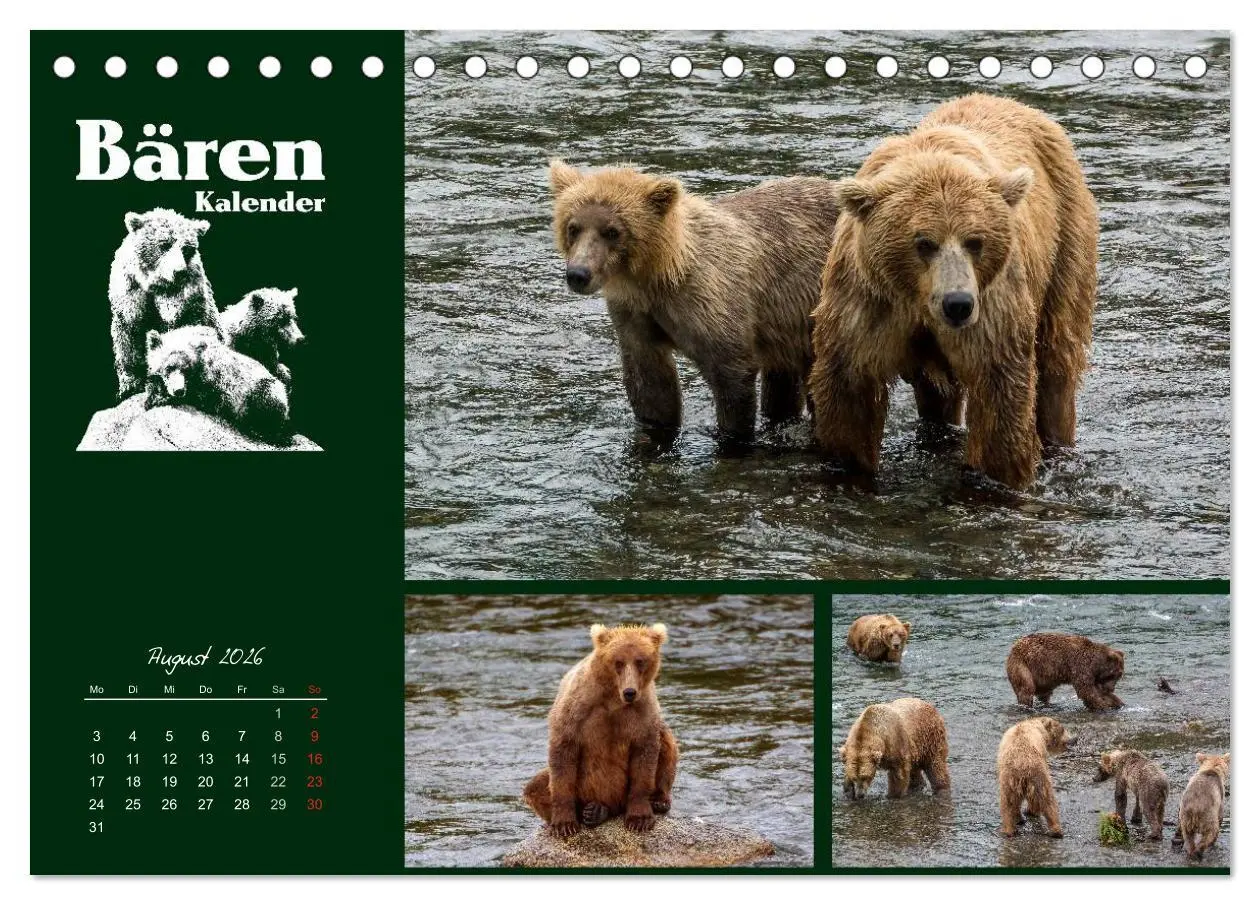 Bild: 9783516218237 | Bärenkalender (Tischkalender 2026 DIN A5 quer), CALVENDO...