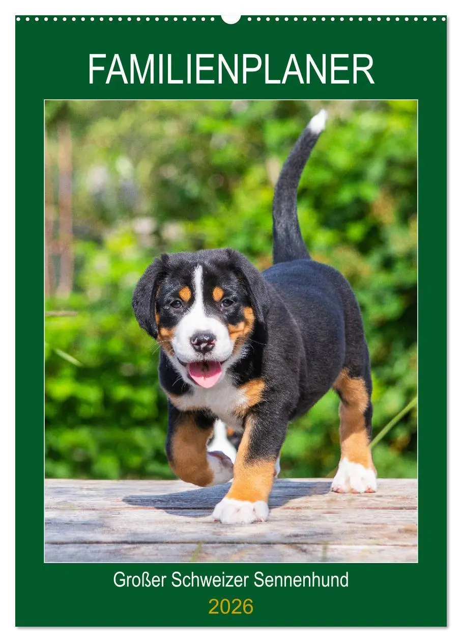 Cover: 9783516388237 | Familienplaner Großer Schweizer Sennenhund (Wandkalender 2026 DIN...