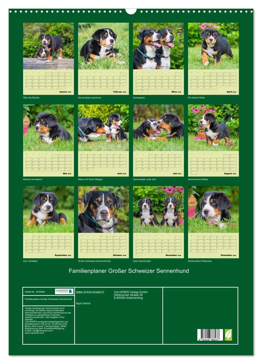 Bild: 9783516388237 | Familienplaner Großer Schweizer Sennenhund (Wandkalender 2026 DIN...
