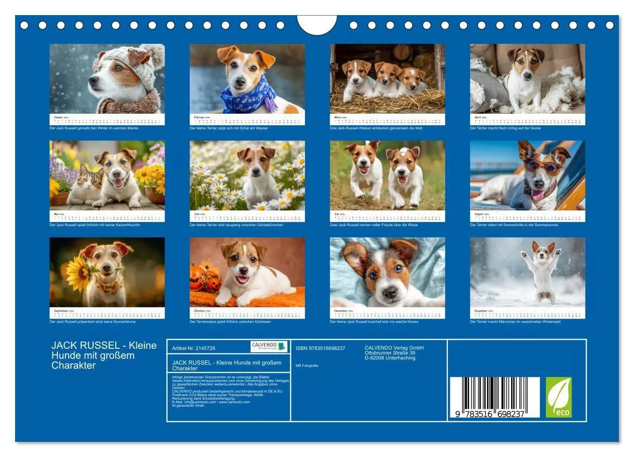 Bild: 9783516698237 | JACK RUSSEL - Kleine Hunde mit großem Charakter (Wandkalender 2026...