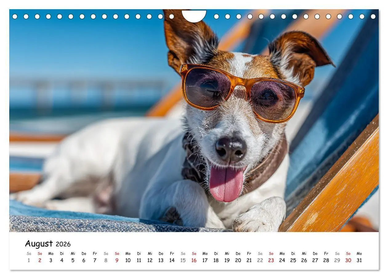 Bild: 9783516698237 | JACK RUSSEL - Kleine Hunde mit großem Charakter (Wandkalender 2026...