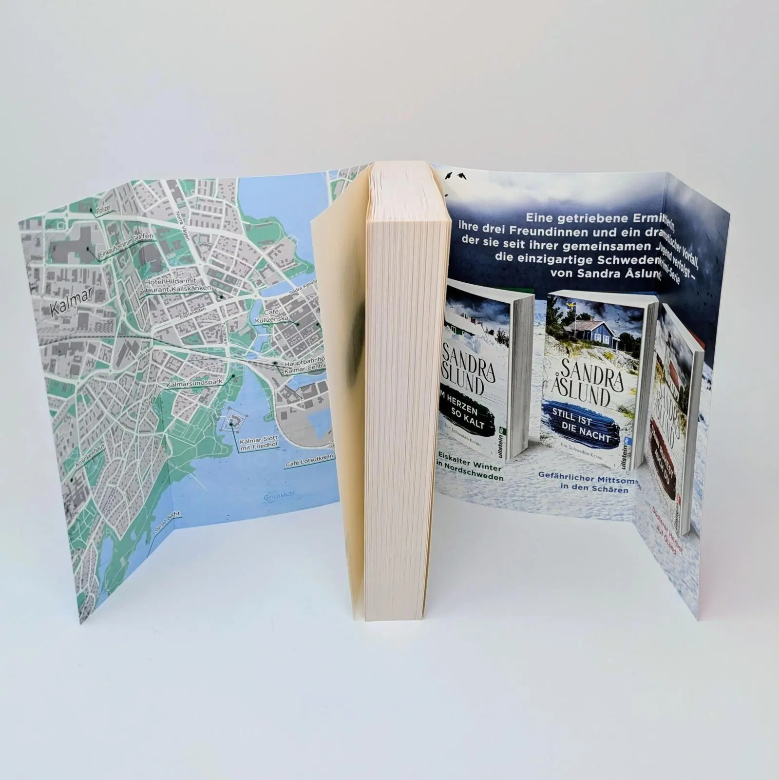 Bild: 9783548068237 | Dann ruhest auch du | Sandra Åslund | Taschenbuch | 400 S. | Deutsch