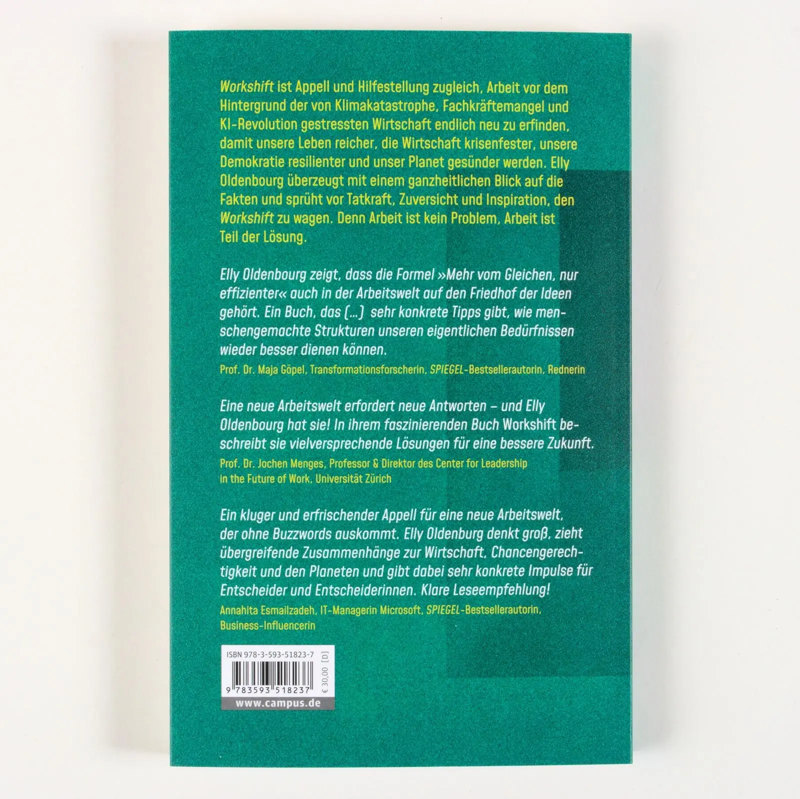 Rückseite: 9783593518237 | Workshift | Elly Oldenbourg | Taschenbuch | 239 S. | Deutsch | 2024