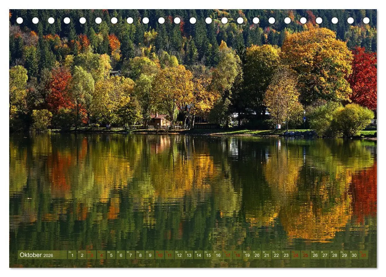 Bild: 9783457808337 | Mit Bäumen durchs Jahr (Tischkalender 2026 DIN A5 quer), CALVENDO...