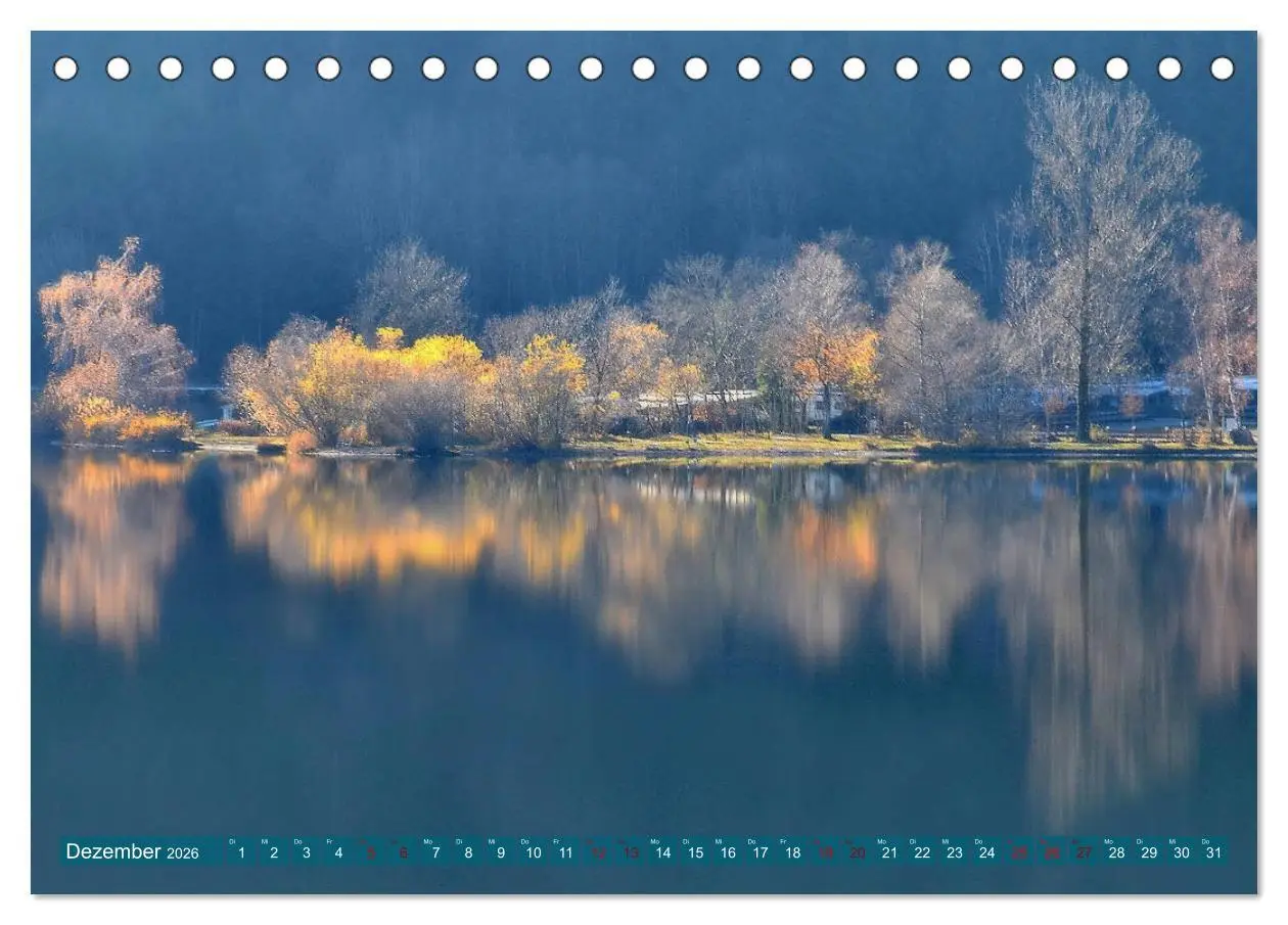 Bild: 9783457808337 | Mit Bäumen durchs Jahr (Tischkalender 2026 DIN A5 quer), CALVENDO...