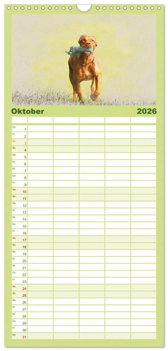 Bild: 9783516518337 | Familienplaner 2026 - Magyar Vizsla 2026 mit 5 Spalten...