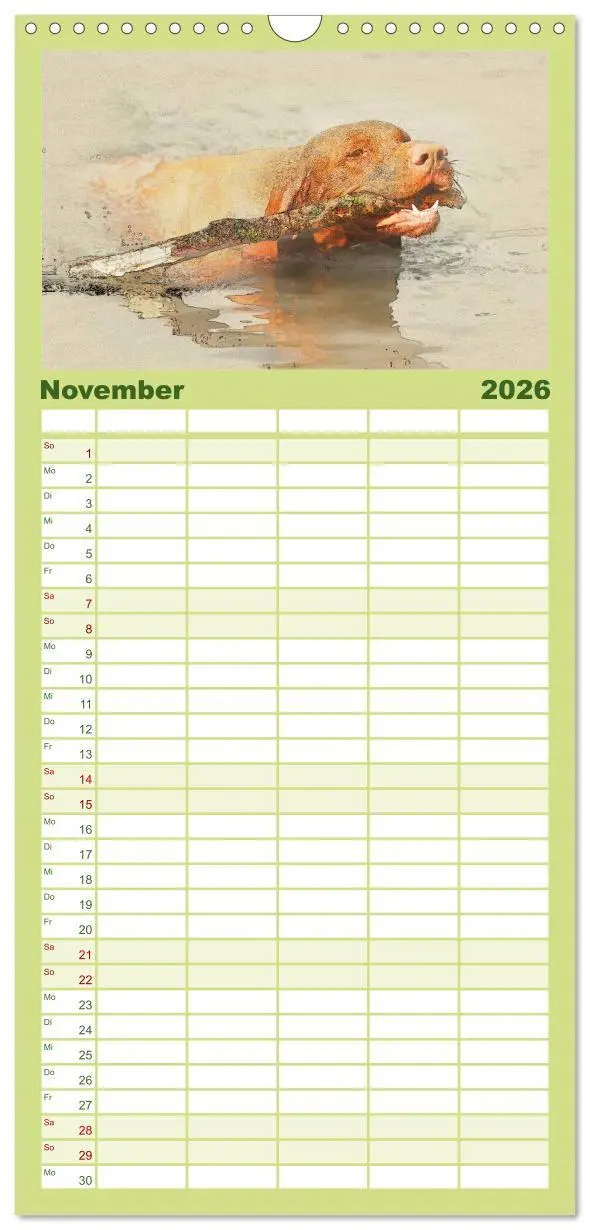 Bild: 9783516518337 | Familienplaner 2026 - Magyar Vizsla 2026 mit 5 Spalten...