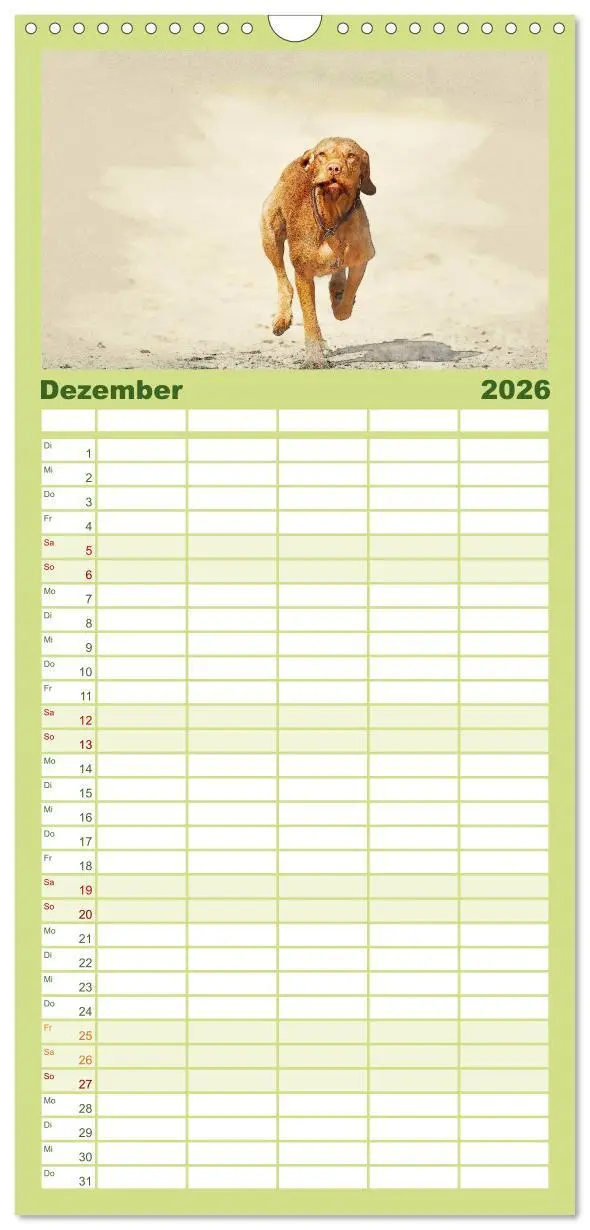 Bild: 9783516518337 | Familienplaner 2026 - Magyar Vizsla 2026 mit 5 Spalten...
