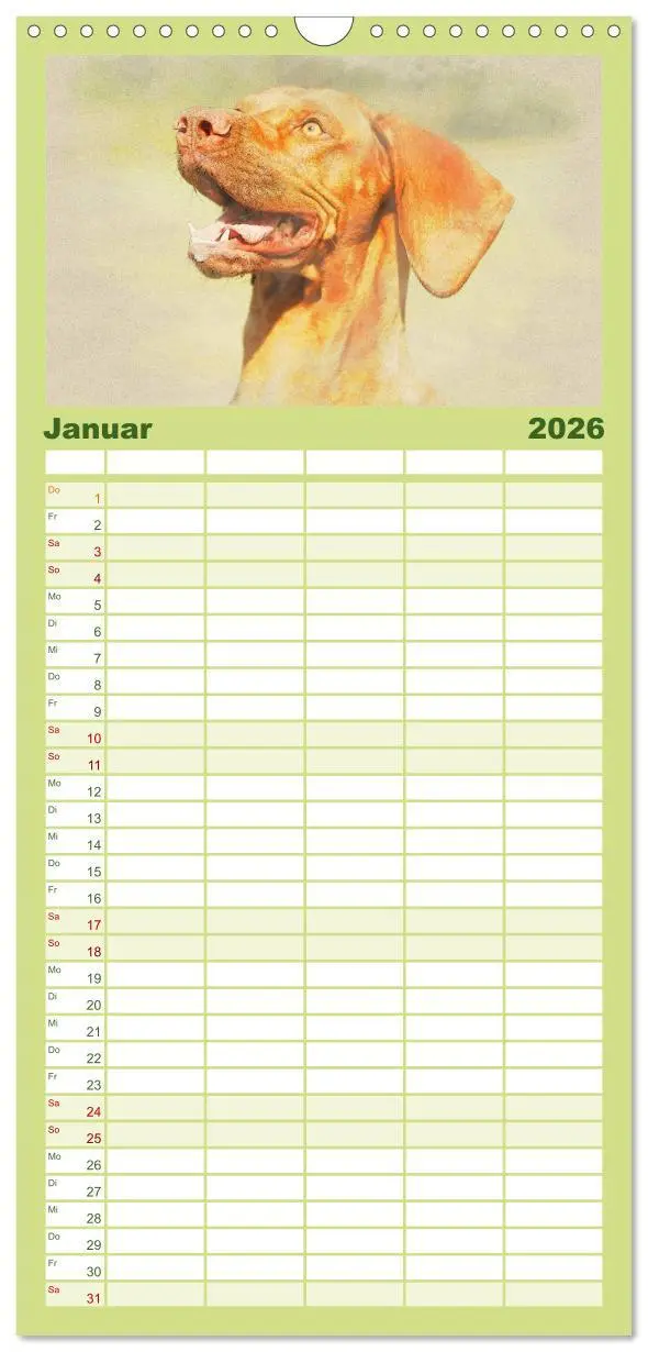 Bild: 9783516518337 | Familienplaner 2026 - Magyar Vizsla 2026 mit 5 Spalten...