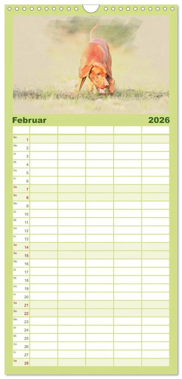 Bild: 9783516518337 | Familienplaner 2026 - Magyar Vizsla 2026 mit 5 Spalten...
