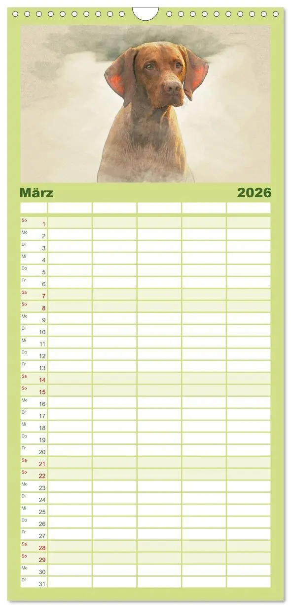 Bild: 9783516518337 | Familienplaner 2026 - Magyar Vizsla 2026 mit 5 Spalten...
