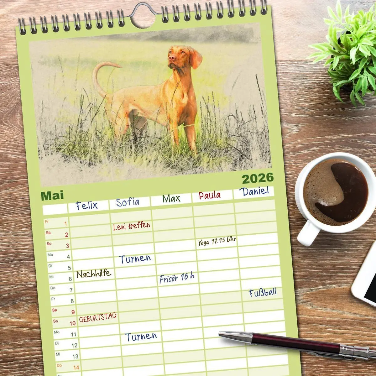 Bild: 9783516518337 | Familienplaner 2026 - Magyar Vizsla 2026 mit 5 Spalten...