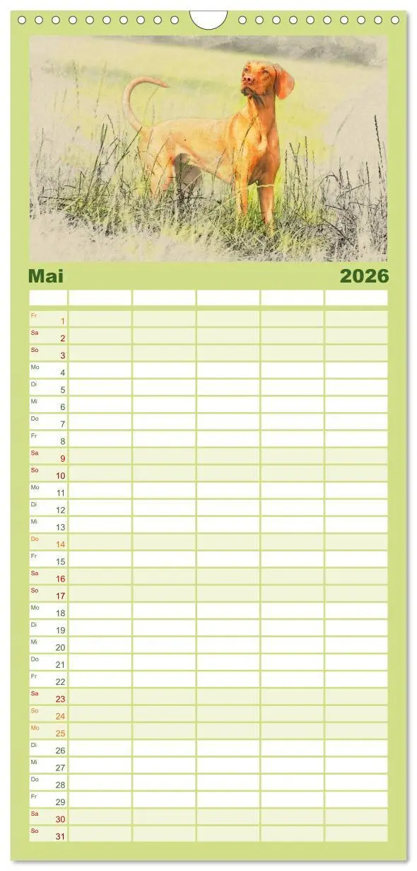 Bild: 9783516518337 | Familienplaner 2026 - Magyar Vizsla 2026 mit 5 Spalten...