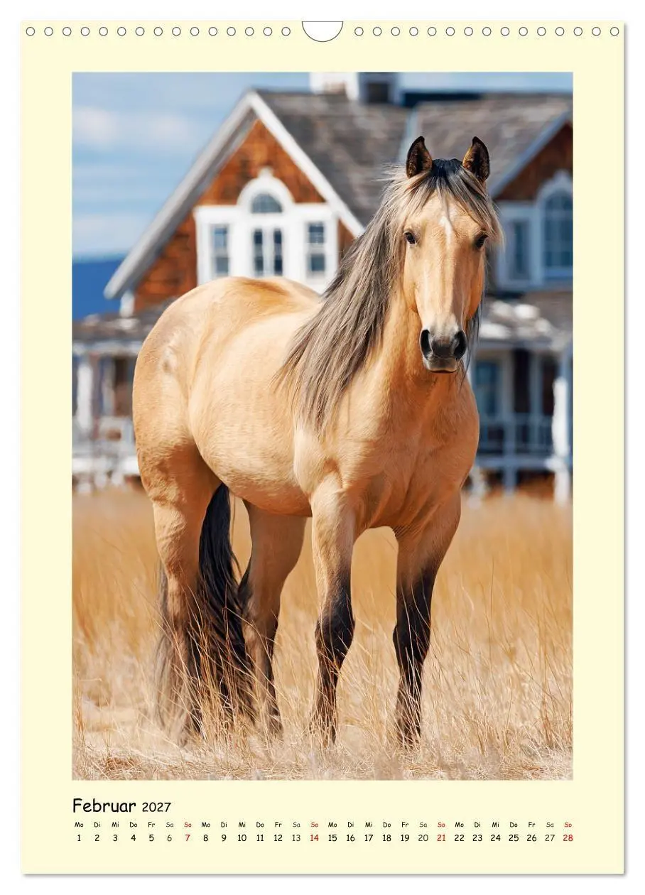 Bild: 9783516758337 | Westernpferde. Quarter Horse und Paint Horse auf dem Farmland...