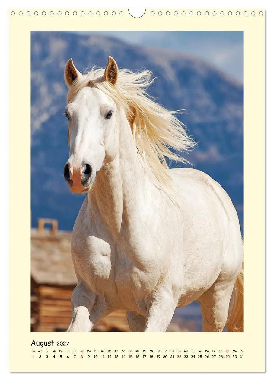 Bild: 9783516758337 | Westernpferde. Quarter Horse und Paint Horse auf dem Farmland...