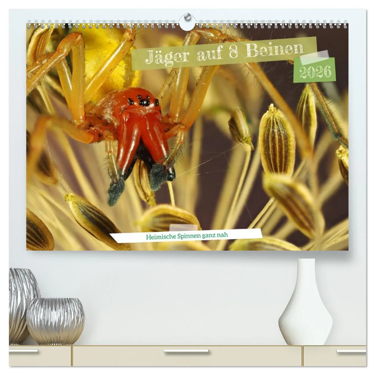 Cover: 9783457418437 | Jäger auf acht Beinen (hochwertiger Premium Wandkalender 2026 DIN...