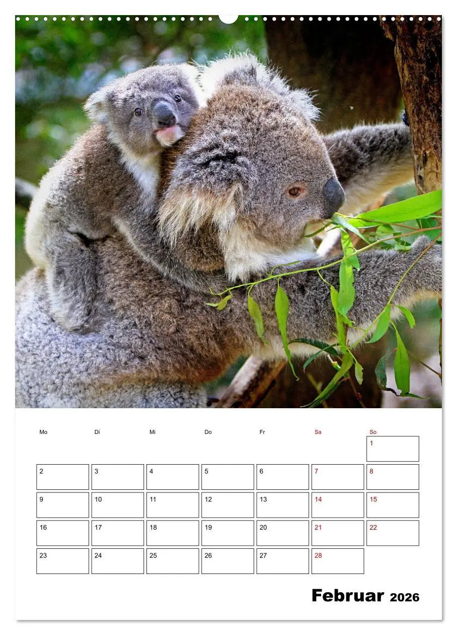 Bild: 9783516368437 | Australiens faszinierende Tierwelt (hochwertiger Premium...