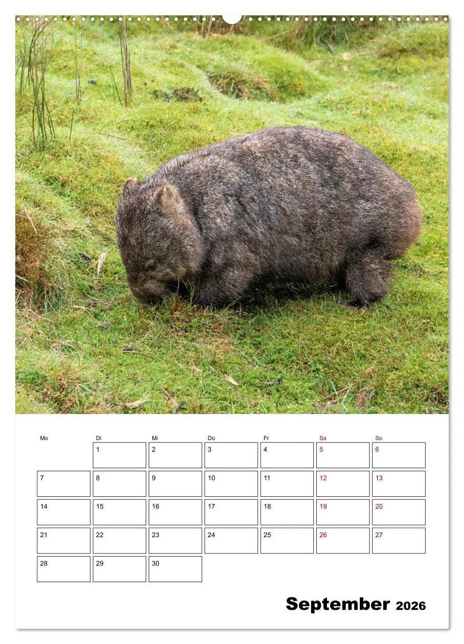 Bild: 9783516368437 | Australiens faszinierende Tierwelt (hochwertiger Premium...