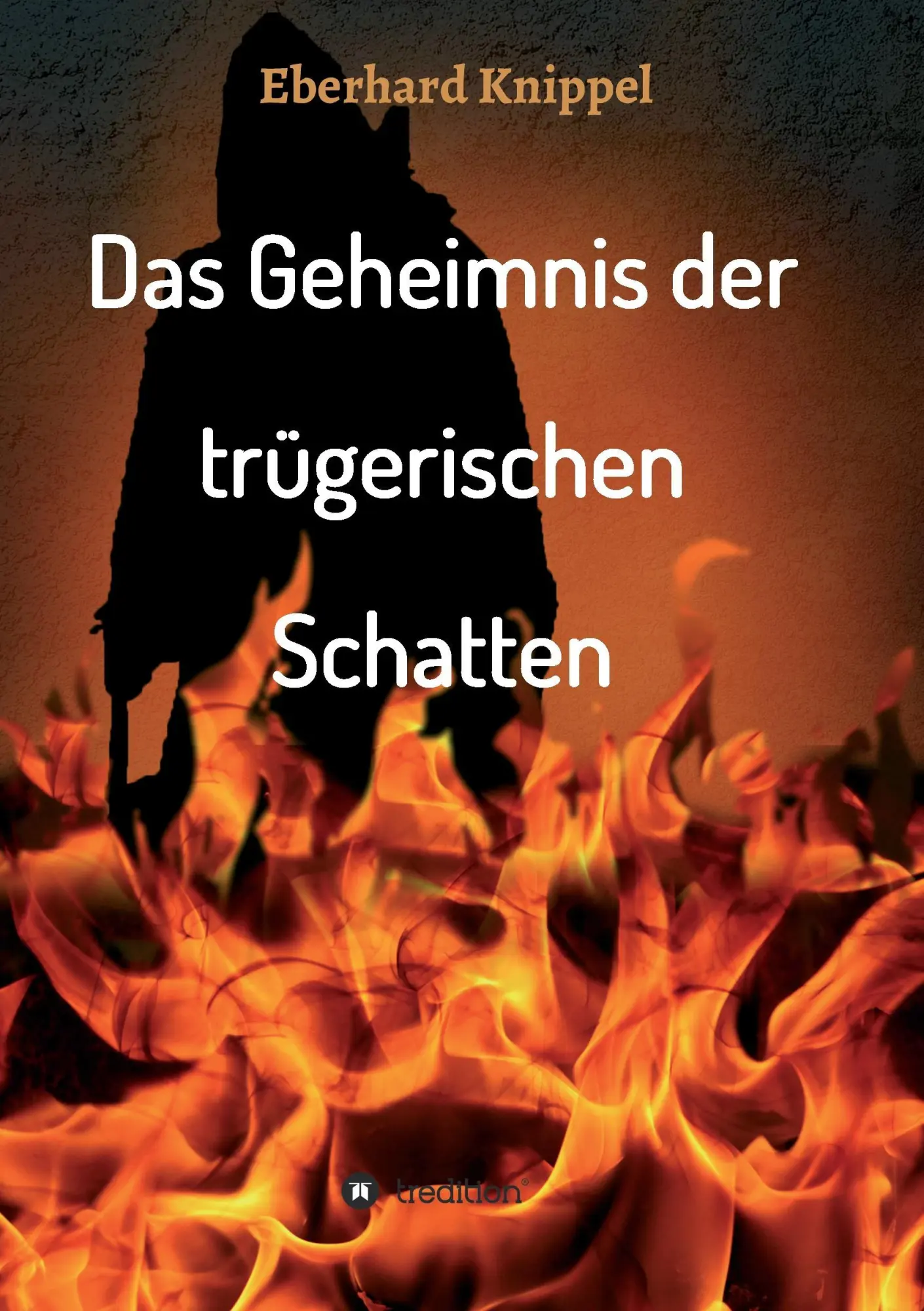 Das Geheimnis der trügerischen Schatten - Eberhard Knippel Kartoniert (TB)