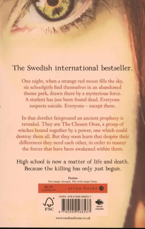 Rückseite: 9780099568537 | The Circle | Sara B. Elfgren (u. a.) | Taschenbuch | 600 S. | Englisch