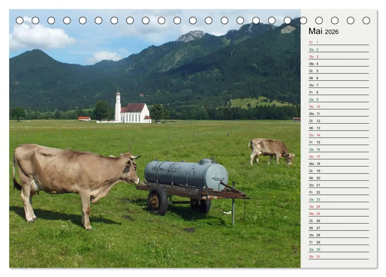 Bild: 9783516118537 | Schwangauer Momente (Tischkalender 2026 DIN A5 quer), CALVENDO...