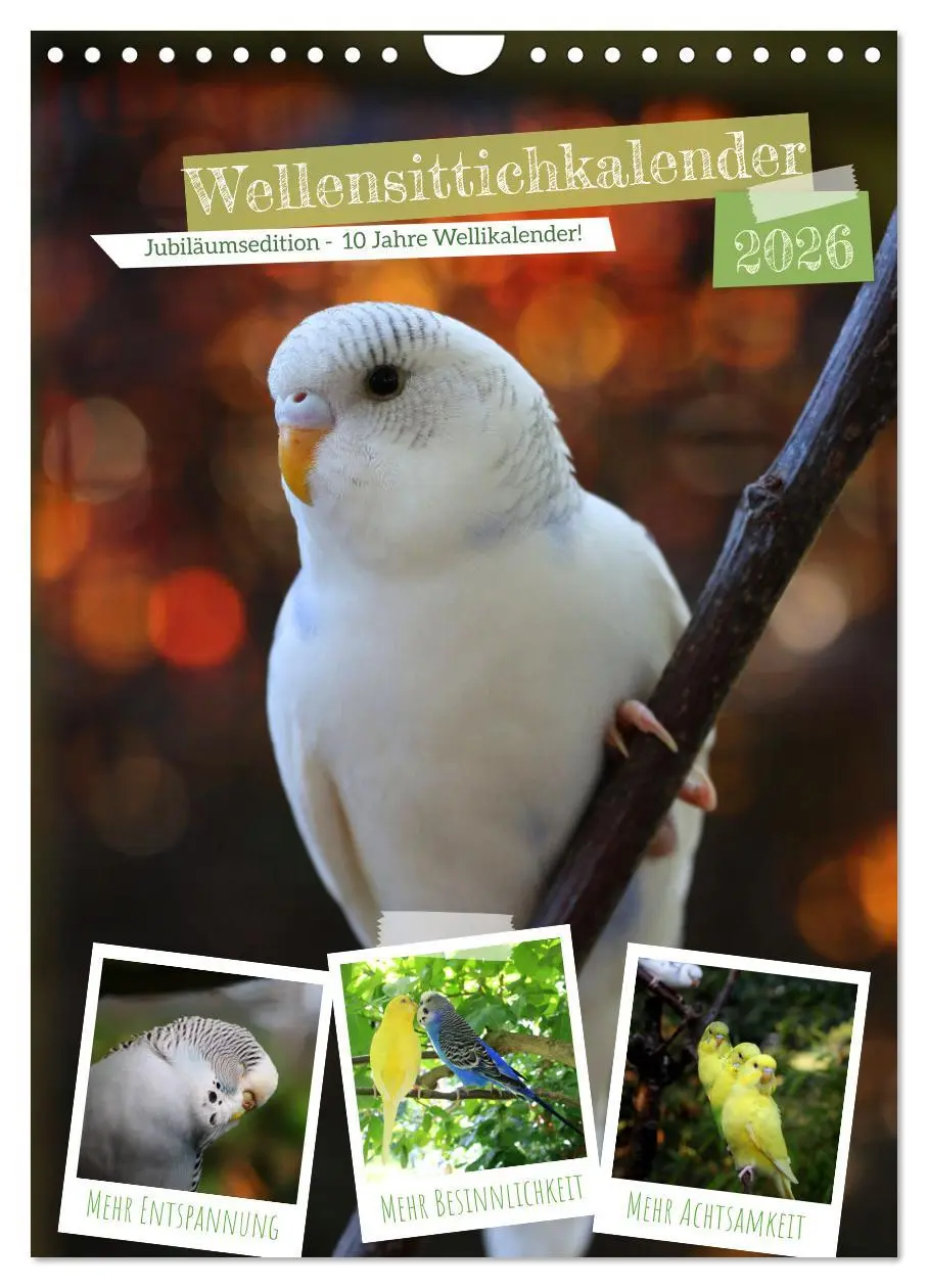 Cover: 9783516358537 | Wellensittichkalender Jubiläumsedition - 10 Jahre...