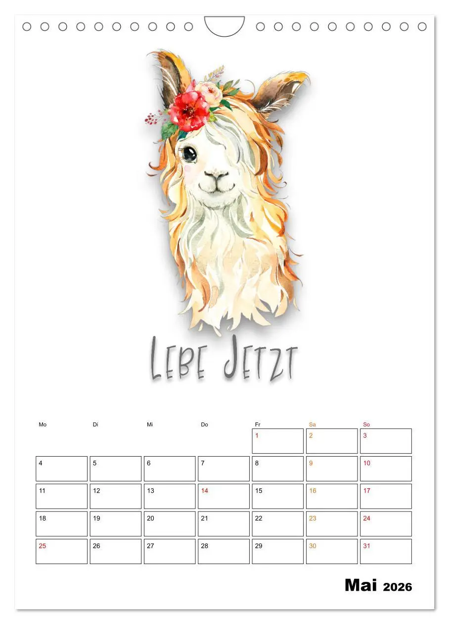 Bild: 9783516348637 | Bleib cool - Gute-Laune-Kalender (Wandkalender 2026 DIN A4 hoch),...