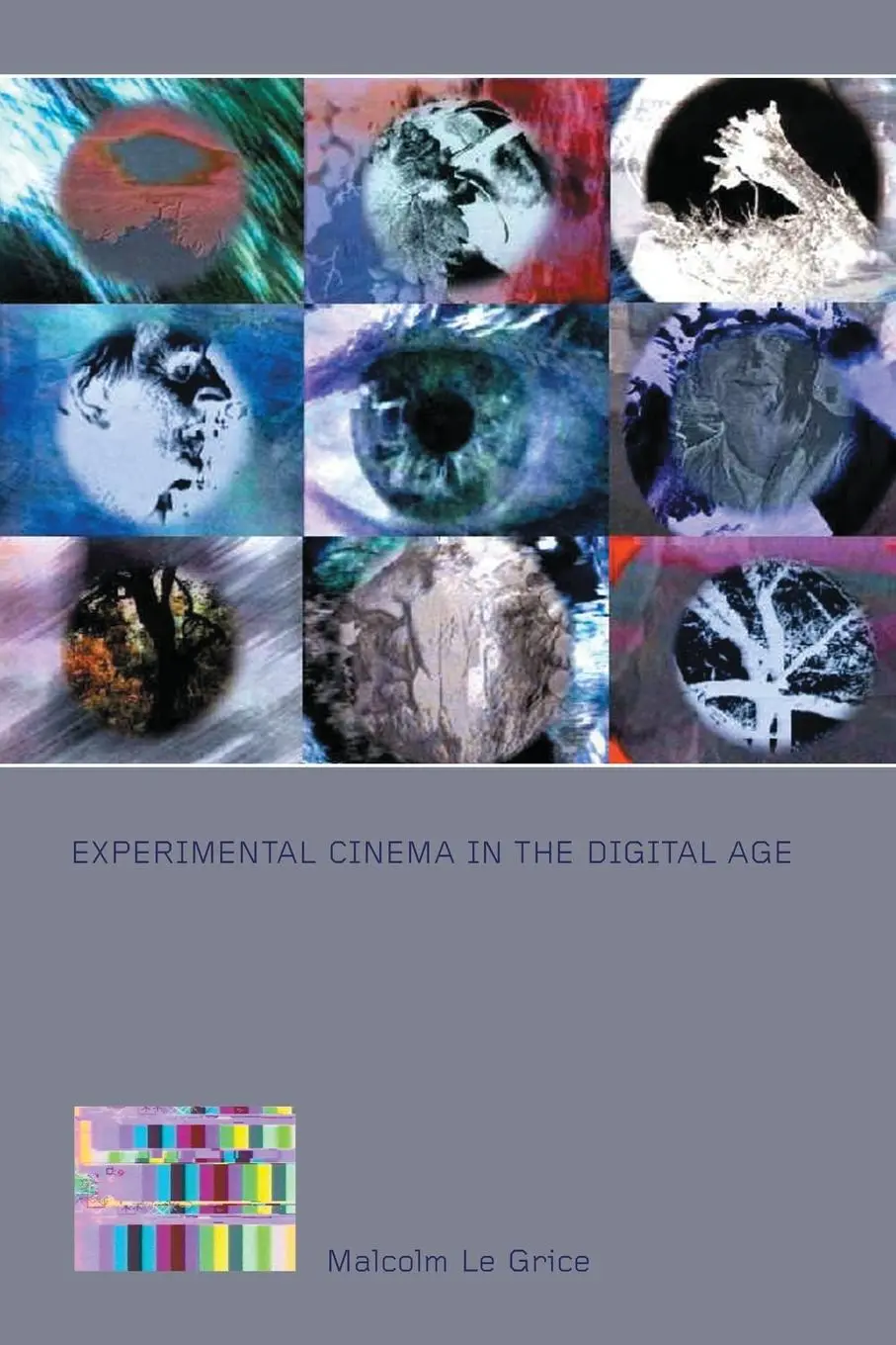 Cover: 9780851708737 | Experimental Cinema in the Digital Age | Malcolm Le Grice | Buch