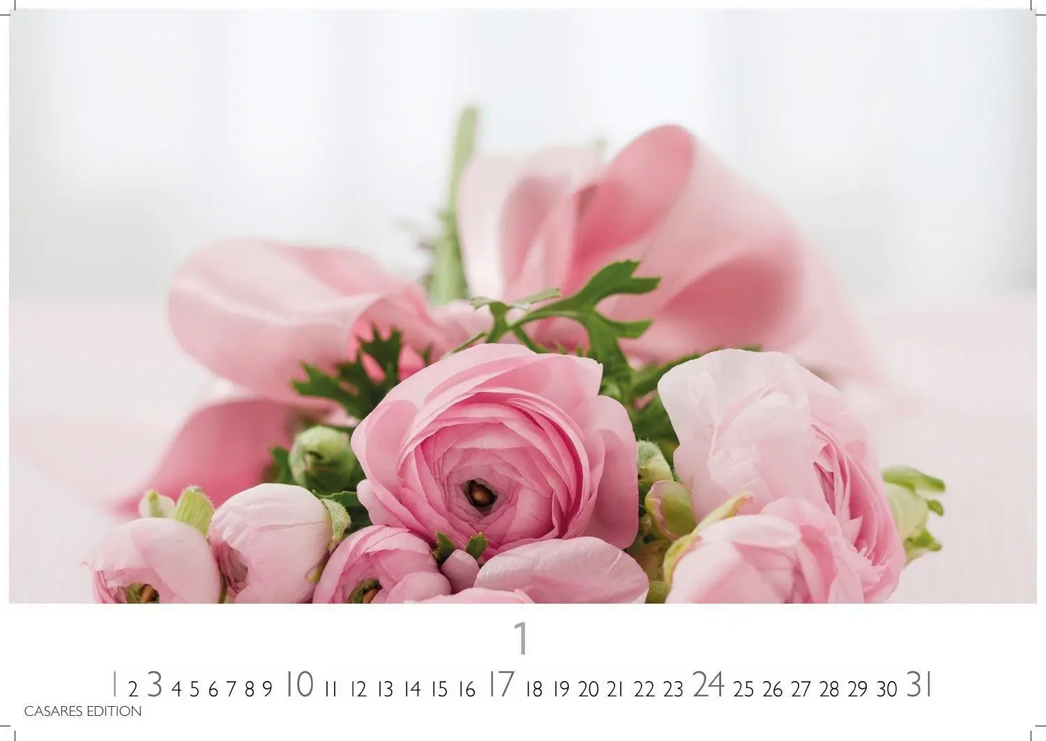 Bild: 9781835248737 | Flower Fantasy Kalender 2027 - Wandkalender Fotokalender...