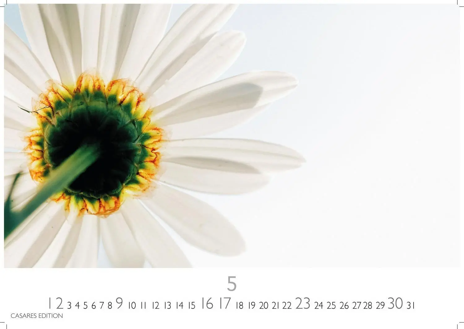 Bild: 9781835248737 | Flower Fantasy Kalender 2027 - Wandkalender Fotokalender...