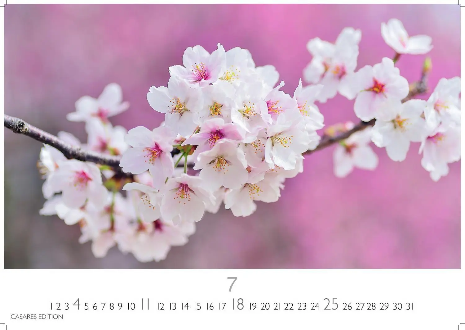 Bild: 9781835248737 | Flower Fantasy Kalender 2027 - Wandkalender Fotokalender...
