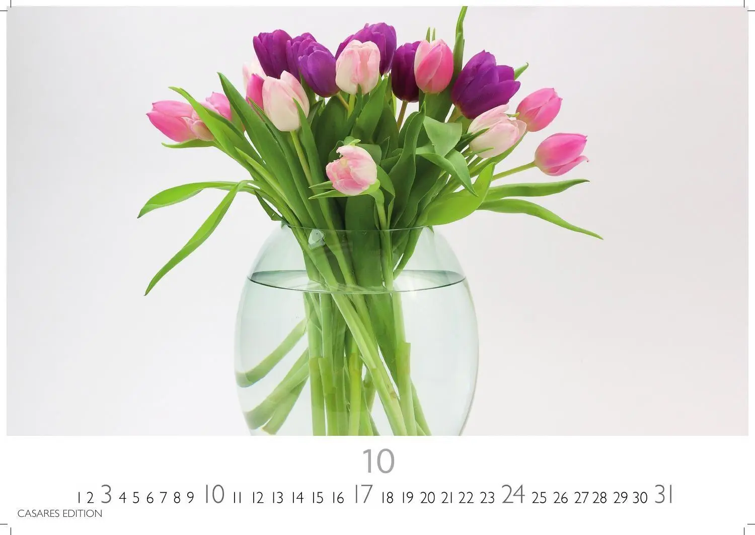 Bild: 9781835248737 | Flower Fantasy Kalender 2027 - Wandkalender Fotokalender...