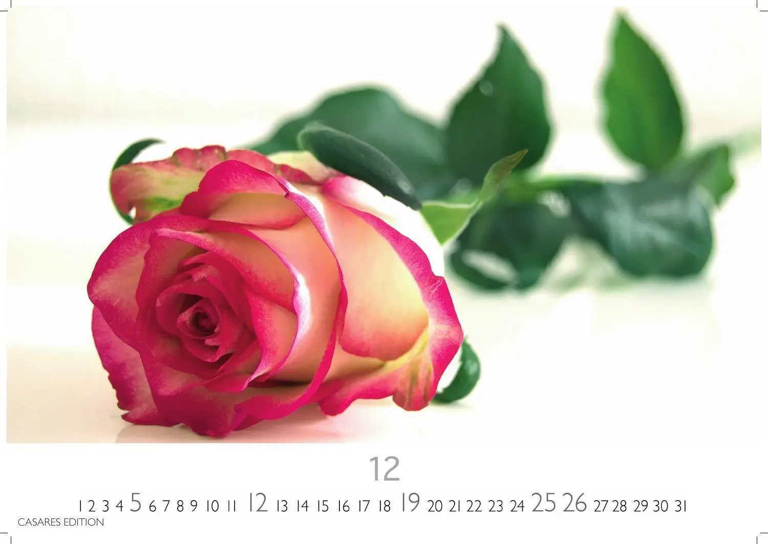 Bild: 9781835248737 | Flower Fantasy Kalender 2027 - Wandkalender Fotokalender...