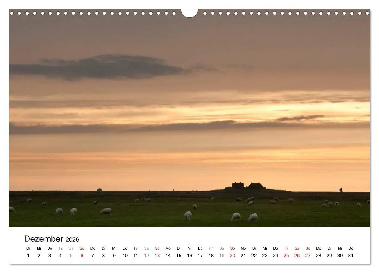 Bild: 9783516028737 | Hallig Hooge - zwischen Himmel und Erde (Wandkalender 2026 DIN A3...