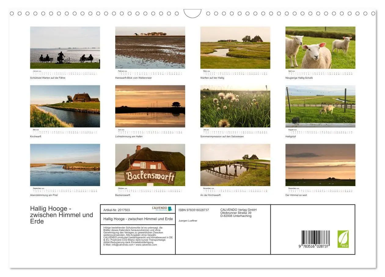 Bild: 9783516028737 | Hallig Hooge - zwischen Himmel und Erde (Wandkalender 2026 DIN A3...