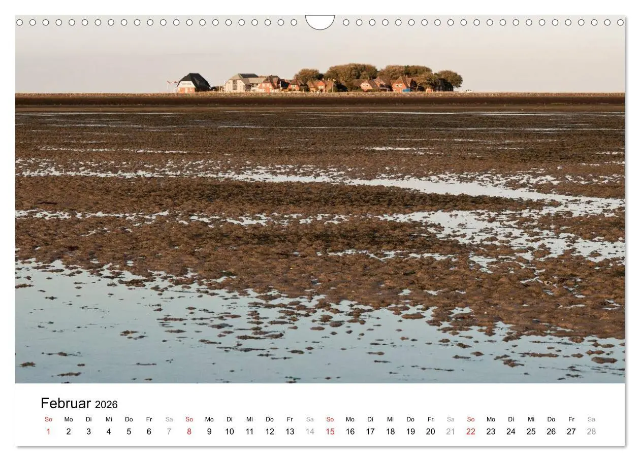 Bild: 9783516028737 | Hallig Hooge - zwischen Himmel und Erde (Wandkalender 2026 DIN A3...