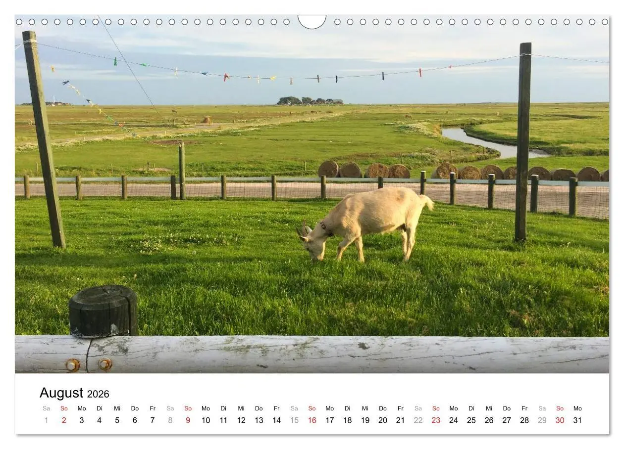 Bild: 9783516028737 | Hallig Hooge - zwischen Himmel und Erde (Wandkalender 2026 DIN A3...