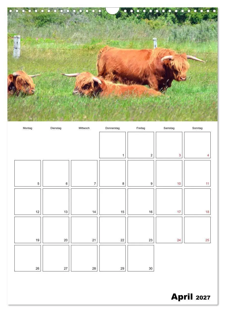 Bild: 9783569738737 | Langeoog - eine Trauminsel (Wandkalender 2027 DIN A3 hoch),...