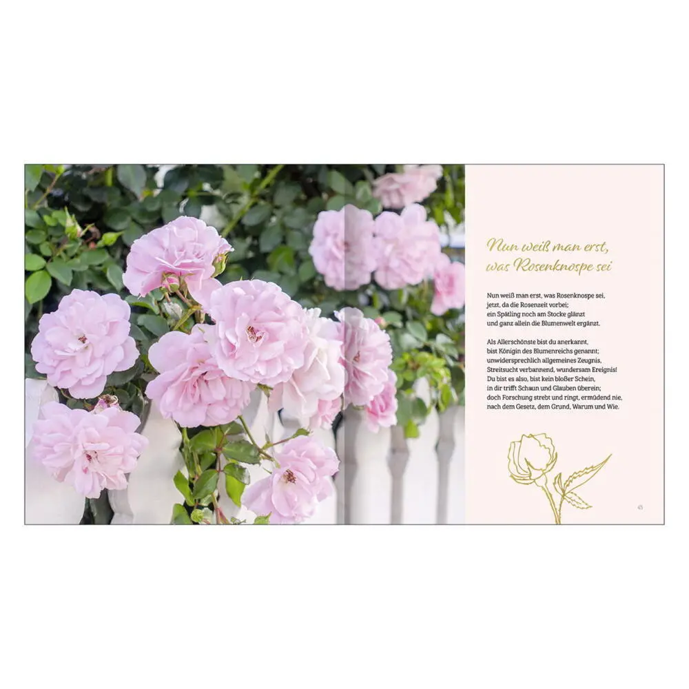 Bild: 9783746258737 | Blumen sehet ruhig sprießen | Ein poetisches Gartenalbum | Goethe