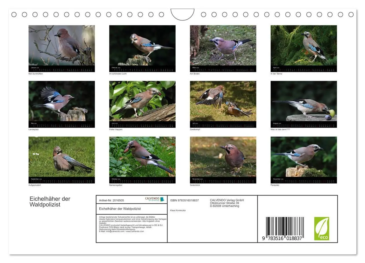 Bild: 9783516018837 | Eichelhäher der Waldpolizist (Wandkalender 2026 DIN A4 quer),...