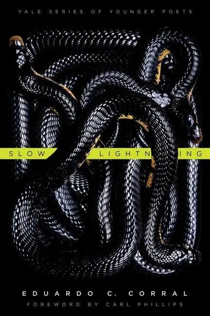 Cover: 9780300178937 | Slow Lightning | Volume 106 | Eduardo C Corral | Taschenbuch | 2012